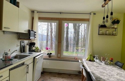 Geising House | Vacation home for 8 guests with 110m² in Altenberg (270758)