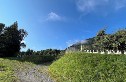Hohenthurn House | Fair-priced and compact rooms overlooking Dobratsch (10 mins to Dreiländereck)