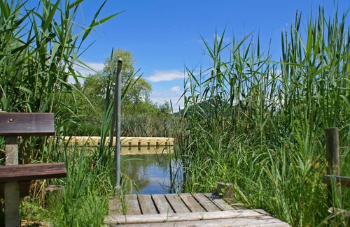 Sankt Kanzian am Klopeiner See Cottage | Double room, shower, WC, standard - Bed and Breakfast Eckwirt