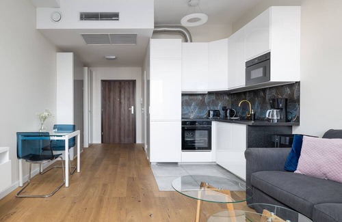 West Pomeranian Voivodeship Apartment | Hanza Tower Studio 720