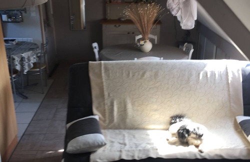 Lanvallay Apartment | Joli gîte en bretagne , au pied de Dinan France