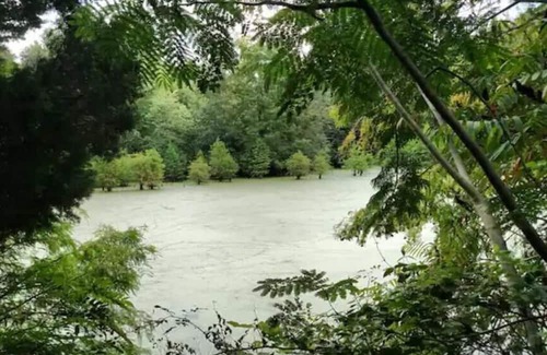 Cobden Cabin | Eva's Roost Retreat - Center For Lost Arts