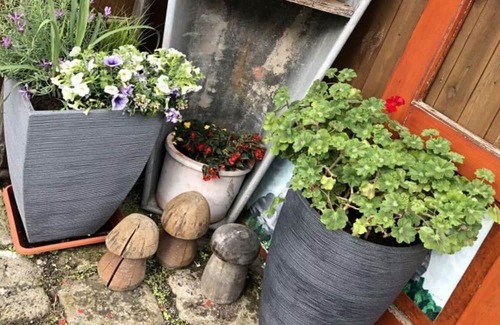 Rathmannsdorf Apartment | Holidays in the circumcourse and