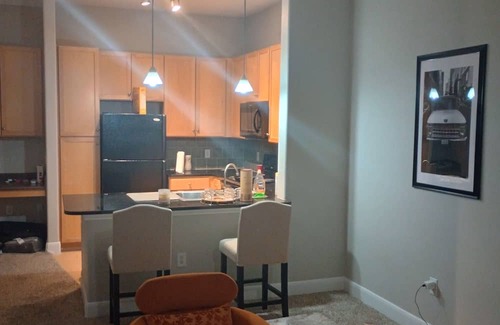 Cinco Ranch Apartment | Cozy Luxury I BR Apartment At Energy Corridor