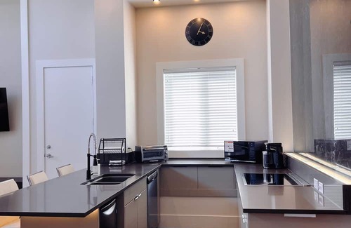 Steveston House | Brand New Luxury loft with huge living room and king bed room - 13 mins from YVR