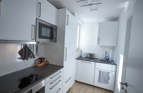 Offenbach am Main Apartment | Garden-level apartment with terrace