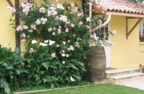 Manciet Cottage | Charming gîte in beautiful SW France countryside