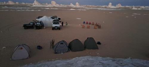 Bawati Other | White Desert Safari Trips in Bahariya Oasis