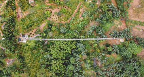 San Mateo Other | UCM Adventure Park