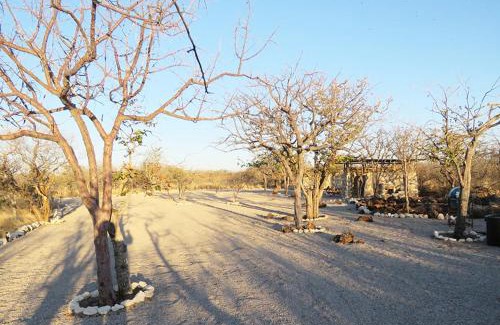 Okaukuejo Other | Etosha Village Campsite