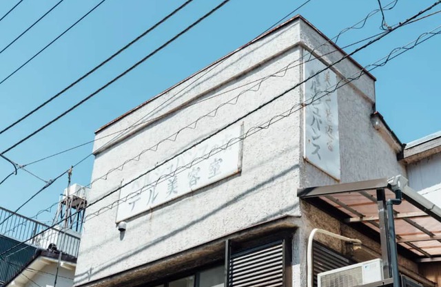 Bird place log Tokyo KS1