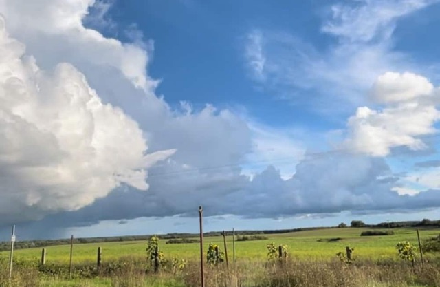 Quiet and cozy vacation apartment in the Mecklenburg Lake District