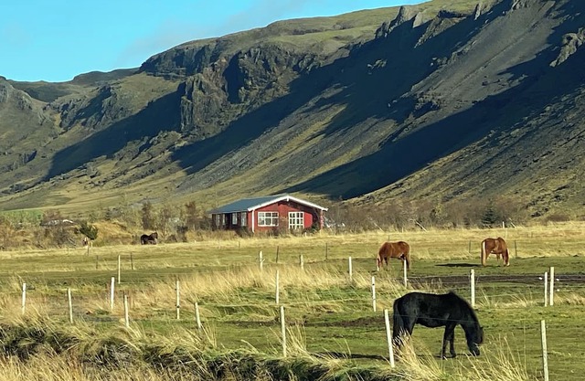 Fancy Iceland? Central location in South Iceland.