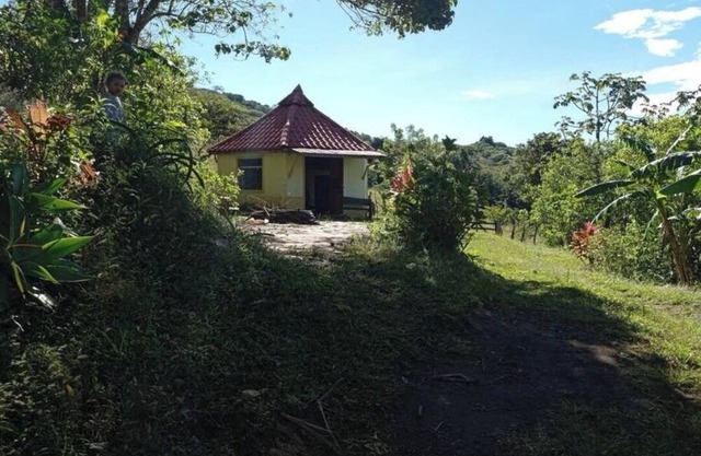 Charming 1-bedroom cottage in amazing Monte Verde with WiFi