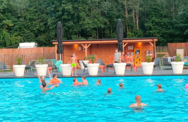 Mobile home for 6 guests with 32m² in Borken (263866)