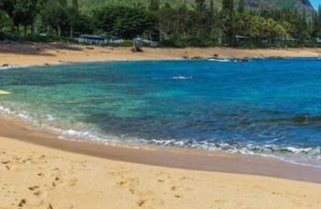 Beachfront Pool, Hot Tub, ocean & Mt Views 2 bd 2 br + Lanai Bali bed Peaceful