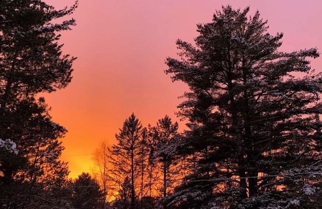 Rest & Recharge at this Cozy Cottage on the Eagle River Chain