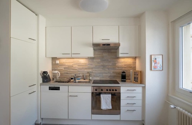 Apartment "Volta" near Basel