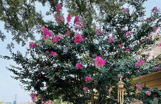 Furnished Trinity River Condo!