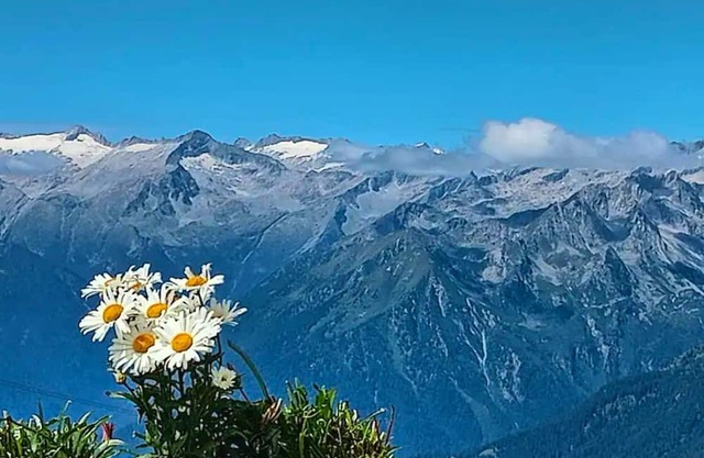 Homerez - Beautiful apartement for 4 ppl. with balcony at Carisolo