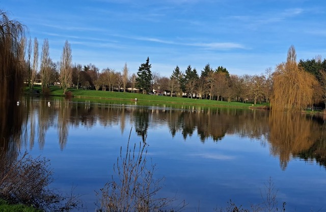Maison Proche Plan D'eau