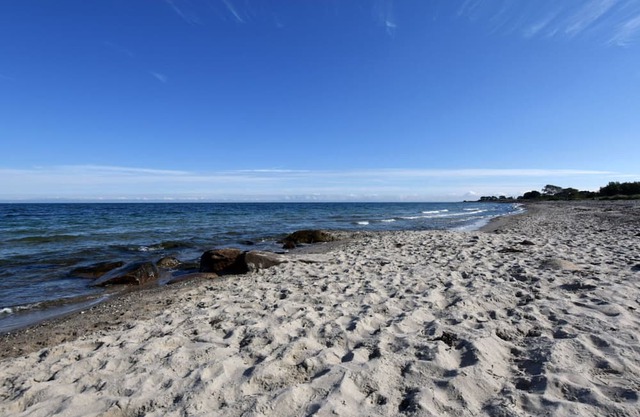 "Seagull nest" on the Baltic Sea beach