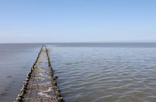 Holiday home sandpiper