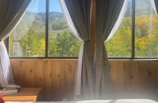 Mountain View Room #12