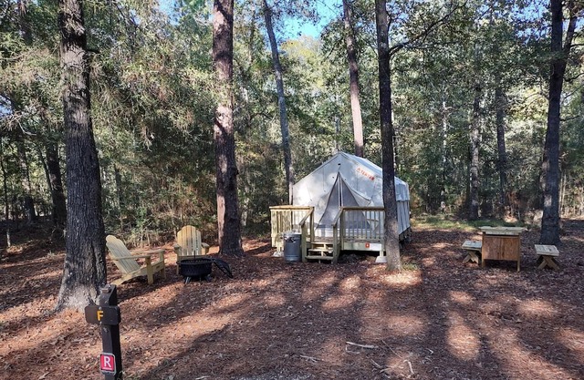 Tentrr State Park Site - TX Lake Livingston State Park - Site B - Single Camp