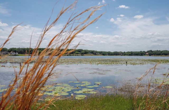 Lakeview+ Shuffleboard Bowling + Wildlife Spotting