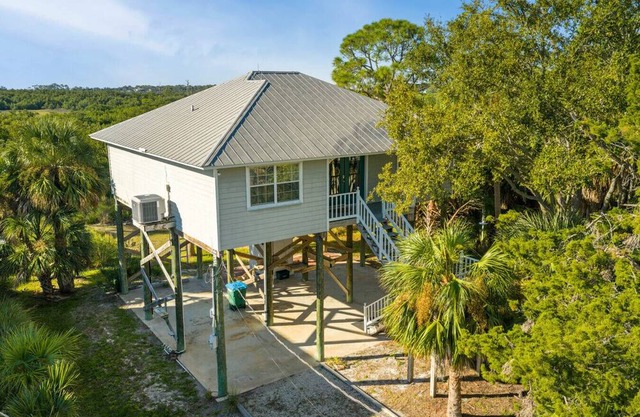 Palm Paradise in Cedar Key