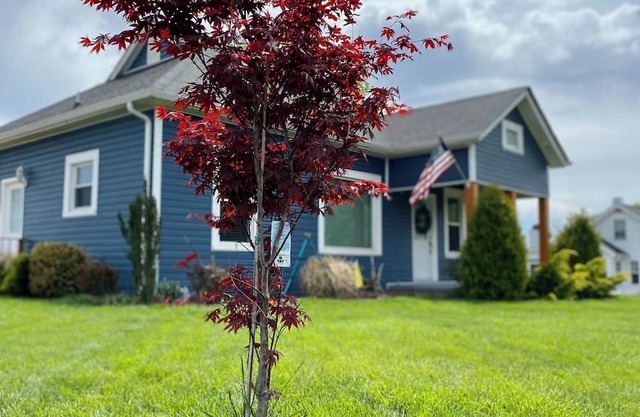 Skyview on Skyland Drive - 2-bedroom house with WiFi, AC in pleasant Kingsport