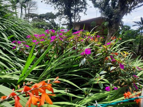 Finca raíces del pasado