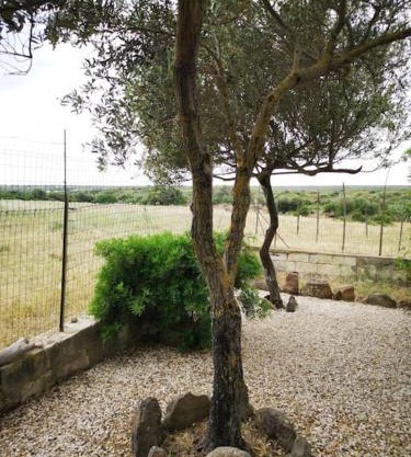 Cottage Su Lizzu countryside&sea